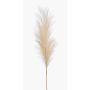 Pianta artificiale, erba della pampa a pannocchia AMATSIA, color crema, 115 cm