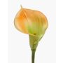 Calla artificiale DAISCHI, giallo-verde, 70 cm, 11x14 cm
