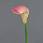Calla artificiale DAISCHI, rosa-crema, 70 cm, 11x14 cm