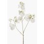 Fiore decorativo artificiale di pisello odoroso KANZI, bianco, 75 cm, Ø 4-7 cm