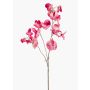 Fiore decorativo artificiale di pisello odoroso KANZI, rosa-crema, 75 cm, Ø 4-7 cm
