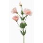 Fiore artificiale Lisianthus JENO, rosa, 65 cm, Ø 7-9 cm
