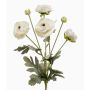 Ramo decorativo di ranuncolo HIBBA, color crema, 65 cm, Ø 5-7 cm