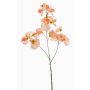 Fiore decorativo artificiale di pisello odoroso KANZI, color pesca, 75 cm, Ø 4-7 cm