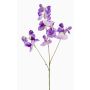 Fiore artificiale decorativo, pisello odoroso KANZI, viola, 75 cm, Ø 4-7 cm