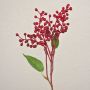 Ramo decorativo con bacche di sambuco TEITH con frutti, rosso, 40 cm