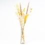 Fiori secchi decorativi con bottiglia LOTTCHEN, marrone, 77 cm, Ø 15 cm