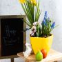 Pasqua