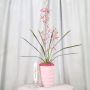 Dillo con i fiori parte 1