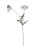 Ramo di papavero in plastica GUNDULA, Eco Collection, grigio-blu, 70cm, Ø7-8cm