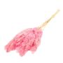 Fascio di canna secca DONJETA, rosa, 70-80cm, Ø15cm