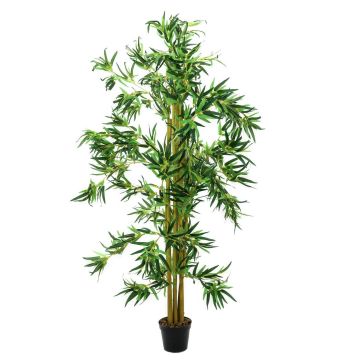 Bambù artificiale HIROKO, tronchi naturali, 150 cm Bambù artificiale HIROKO, tronchi naturali, 150 cm