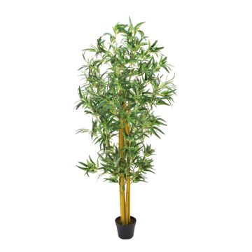 Bambù artificiale HIROKO, tronchi naturali, 180 cm