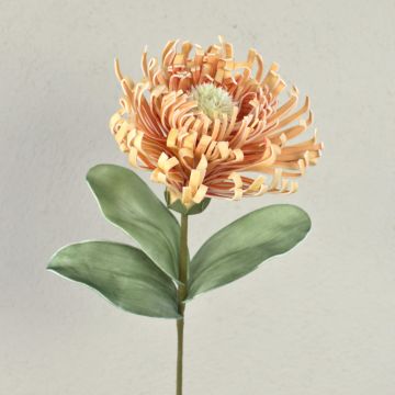 Cuscino decorativo a spilli Protea ISLARTINA, crema-albicocca, 75 cm Cuscino decorativo a spilli Protea ISLARTINA, crema-albicocca, 75 cm