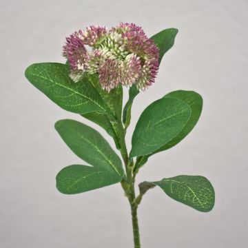 Fiore di Sedum telephium in plastica EILIDH, malva-crema, 30cm, Ø7cm Fiore di Sedum telephium in plastica EILIDH, malva-crema, 30cm, Ø7cm