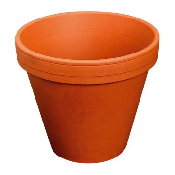 Portafiori in terracotta ARVION, 8cm, Ø9cm