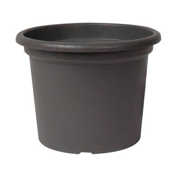 Vaso rotondo VENERA in plastica riciclata, con fori, antracite, 19 cm, Ø 25 cm Vaso rotondo VENERA in plastica riciclata, con fori, antracite, 19 cm, Ø 25 cm