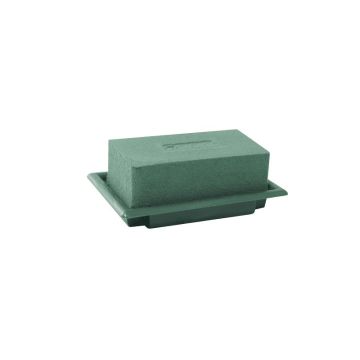 OASIS® Spugna da composizione umida rettangolare per composizioni floreali, in vaschetta di Papercompound, verde, 13x9x5 cm