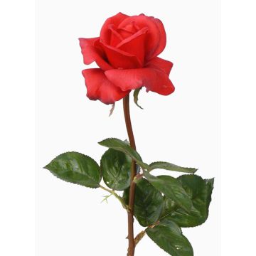 Rosa artificiale AMELIE, rossa, 70cm, Ø8cm Rosa artificiale AMELIE, rossa, 70cm, Ø8cm