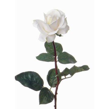 Rosa artificiale AMELIE, bianca, 70cm, Ø8cm Rosa artificiale AMELIE, bianca, 70cm, Ø8cm