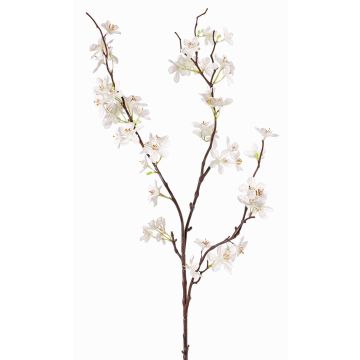 Ramo finto di fiori di melo LOUISA, fiorito, crema-bianco, 80cm, Ø3-4cm Ramo finto di fiori di melo LOUISA, fiorito, crema-bianco, 80cm, Ø3-4cm