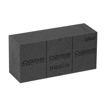 OASIS® Black Ideal Maxlife blocchi di schiuma da fiori umida con linee di taglio, nero, 23x11x7,5 cm