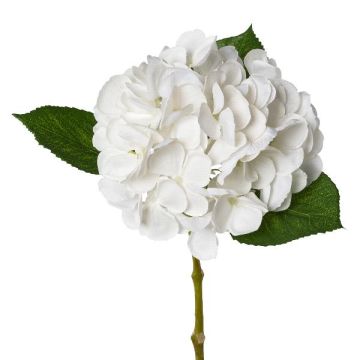 Fiore di ortensia in plastica KLUVT, bianco, 50cm Fiore di ortensia in plastica KLUVT, bianco, 50cm