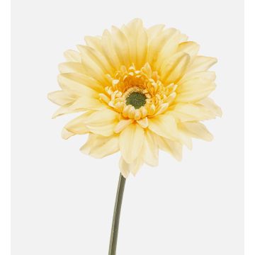 Gerbera artificiale FRALWE, Eco Collection, giallo chiaro, 65 cm, Ø 13 cm Gerbera artificiale FRALWE, Eco Collection, giallo chiaro, 65 cm, Ø 13 cm