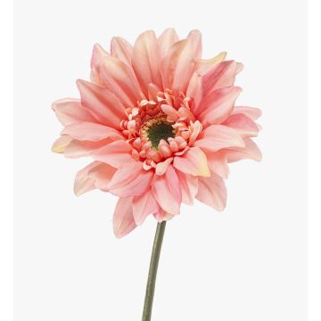 Gerbera artificiale FRALWE, Eco Collection, rosa, 65 cm, Ø 13 cm Gerbera artificiale FRALWE, Eco Collection, rosa, 65 cm, Ø 13 cm