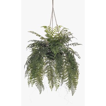 Fagio artistico Fagio dai capelli di donna MAXROL, zolla di terra, radici, sospeso, verde, 85cm Fagio artistico Fagio dai capelli di donna MAXROL, zolla di terra, radici, sospeso, verde, 85cm