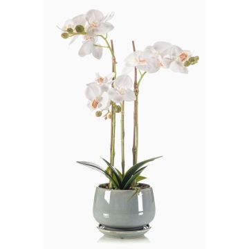 Orchidea artificiale Phalaenopsis di ceramica JOLANA in vaso, bianca, 45cm