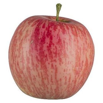 Frutta artificiale Mela LOKPA, rosso-giallo, 7,5 cm, Ø 6,5 cm