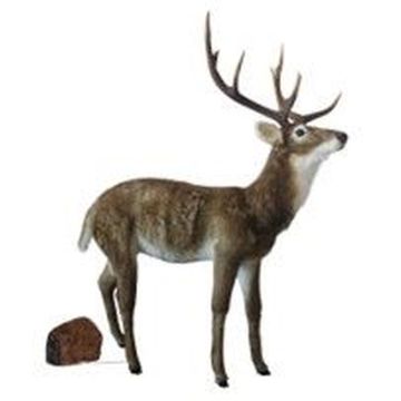 Figura decorativa XXL a forma di cervo BLAER, marrone-bianco, 138x63x172cm
