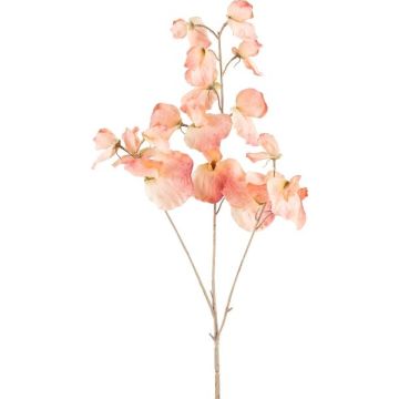 Ramo artificiale di Lathyrus latifolius SLIRKEN, color albicocca, 75 cm Ramo artificiale di Lathyrus latifolius SLIRKEN, color albicocca, 75 cm