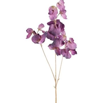 Ramo artificiale di Lathyrus latifolius SLIRKEN, viola scuro, 75 cm Ramo artificiale di Lathyrus latifolius SLIRKEN, viola scuro, 75 cm