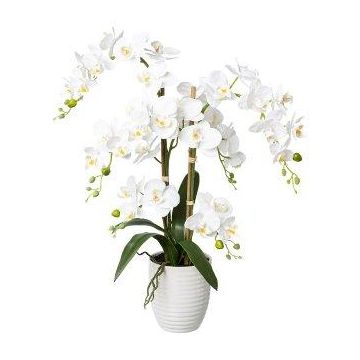 Orchidea Phalaenopsis artificiale LUKREN in vaso di ceramica, con radici, bianca, 65cm Orchidea Phalaenopsis artificiale LUKREN in vaso di ceramica, con radici, bianca, 65cm