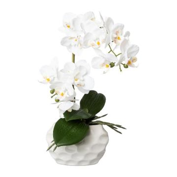 Orchidea Phalaenopsis artificiale GINERT, vaso in ceramica, radici, bianca, 35 cm Orchidea Phalaenopsis artificiale GINERT, vaso in ceramica, radici, bianca, 35 cm