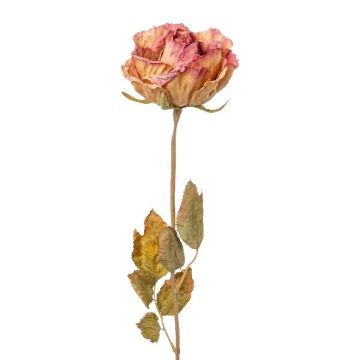 Fiore artificiale Rosa PANSOK, effetto secco, rosa-pesca, 55 cm, Ø 7 cm Fiore artificiale Rosa PANSOK, effetto secco, rosa-pesca, 55 cm, Ø 7 cm