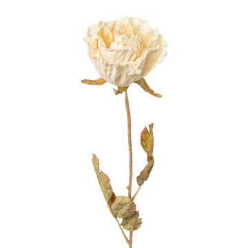 Fiore artificiale Rosa PANSOK, effetto secco, color crema, 55 cm, Ø 7 cm Fiore artificiale Rosa PANSOK, effetto secco, color crema, 55 cm, Ø 7 cm