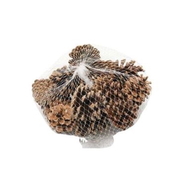 Decorazioni spargibili a forma di pigna UMBRIELLE, naturale, 15 pezzi Decorazioni spargibili a forma di pigna UMBRIELLE, naturale, 15 pezzi