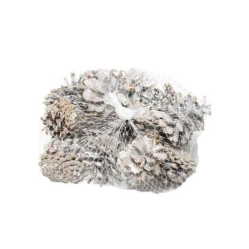 Pigne decorative UMBRIELLE, bianco calcareo, 15 pezzi Pigne decorative UMBRIELLE, bianco calcareo, 15 pezzi