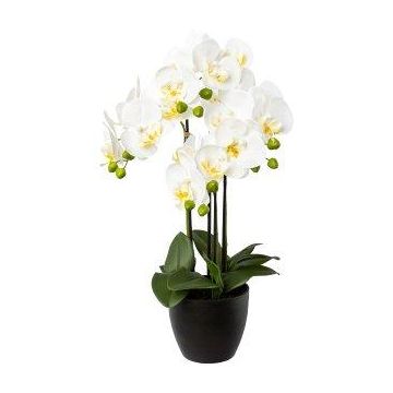 Orchidea Phalaenopsis decorativa UKERNA in vaso di resina, bianca, 55 cm Orchidea Phalaenopsis decorativa UKERNA in vaso di resina, bianca, 55 cm
