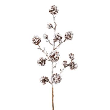 Ramo decorativo di abete JORFEN con pigne, innevato, bianco-marrone, 60cm Ramo decorativo di abete JORFEN con pigne, innevato, bianco-marrone, 60cm