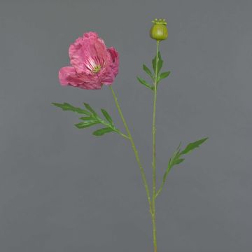 Fiore di papavero artificiale EDESSA, rosa scuro, 80cm, Ø11cm Fiore di papavero artificiale EDESSA, rosa scuro, 80cm, Ø11cm