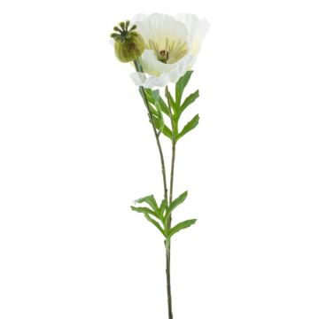Fiore di papavero artificiale EDESSA, bianco, 80cm, Ø11cm Fiore di papavero artificiale EDESSA, bianco, 80cm, Ø11cm