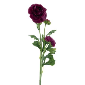 Fiore artificiale Ranuncolo PROTO, viola scuro, 65 cm Fiore artificiale Ranuncolo PROTO, viola scuro, 65 cm