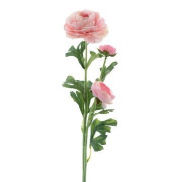 Fiore artificiale Ranuncolo PROTO, rosa chiaro, 65 cm Fiore artificiale Ranuncolo PROTO, rosa chiaro, 65 cm