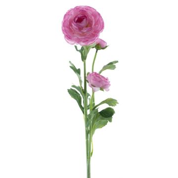 Fiore artificiale Ranuncolo PROTO, rosa shocking, 65 cm Fiore artificiale Ranuncolo PROTO, rosa shocking, 65 cm