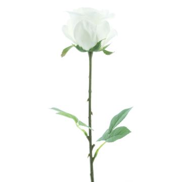 Rosa artificiale RUYUN, bianca, 45 cm, Ø 8 cm Rosa artificiale RUYUN, bianca, 45 cm, Ø 8 cm