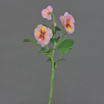 Ramo artificiale di viole del pensiero SIANIE, rosa-fucsia-giallo, 35 cm, Ø 5-6,5 cm Ramo artificiale di viole del pensiero SIANIE, rosa-fucsia-giallo, 35 cm, Ø 5-6,5 cm